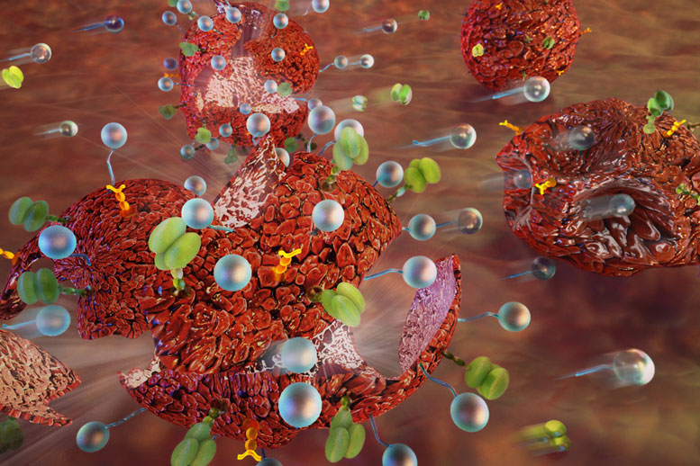Tethered Nanoparticles Make Tumor Cells More Vulnerable