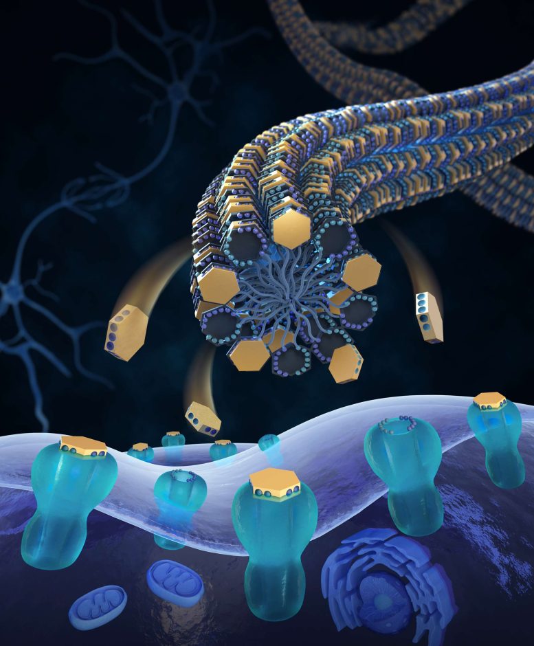 Tetrodotoxin Delivery to Nerve Sodium Channels via Bioinspired Nanofibers