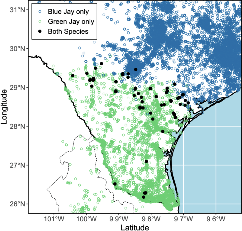 Texas Blue Jay Green Jay Map
