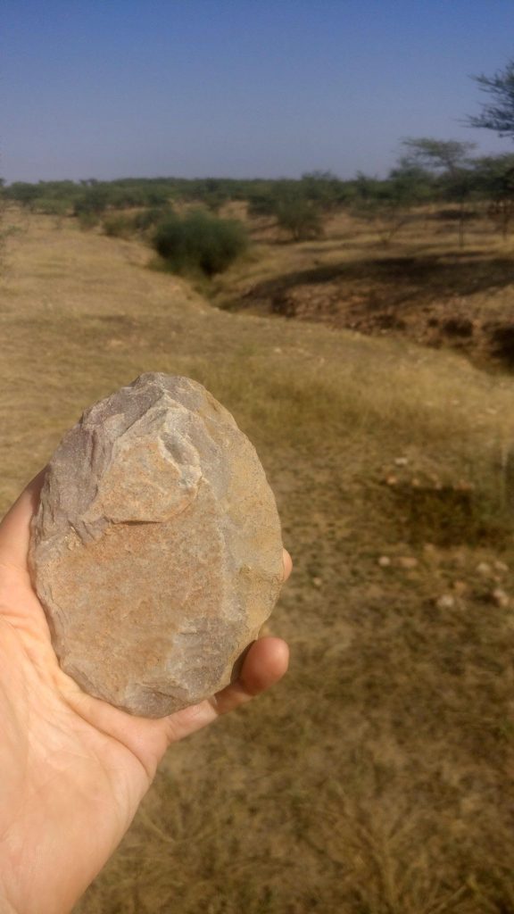 A handaxe from the Thar Desert, where Acheulean populations persisted until at least 177 thousand years ago
