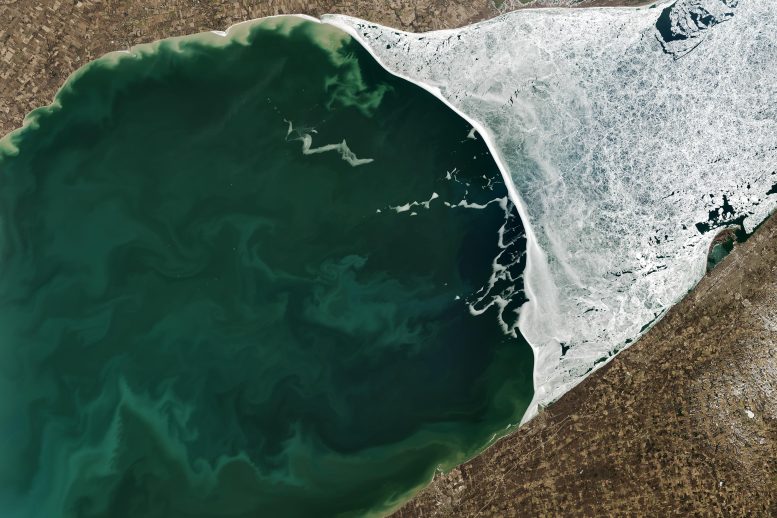 Thawing Lake Erie 2025