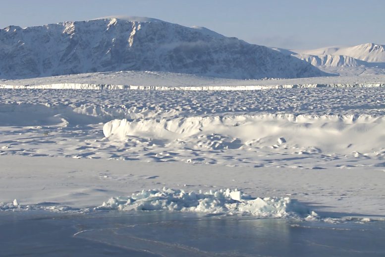 The 79°North Glacier on the North East Coast of Greenland