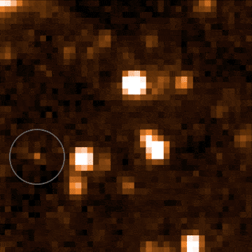 The Accident Brown Dwarf