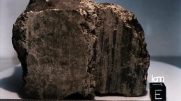 The Allan Hills 84001 Meteorite