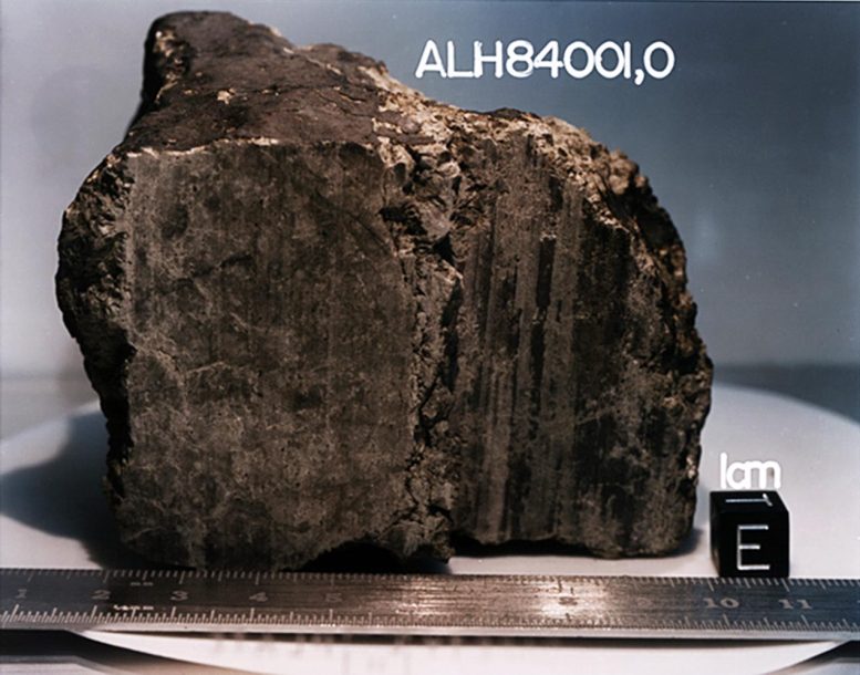 The Allan Hills 84001 Meteorite