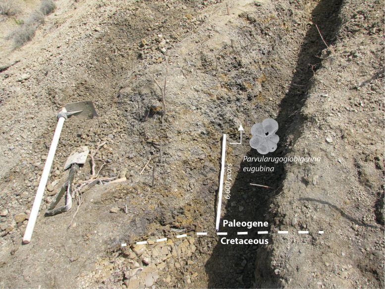 The Cretaceous Paleogene Boundary at El Kef Tunisia