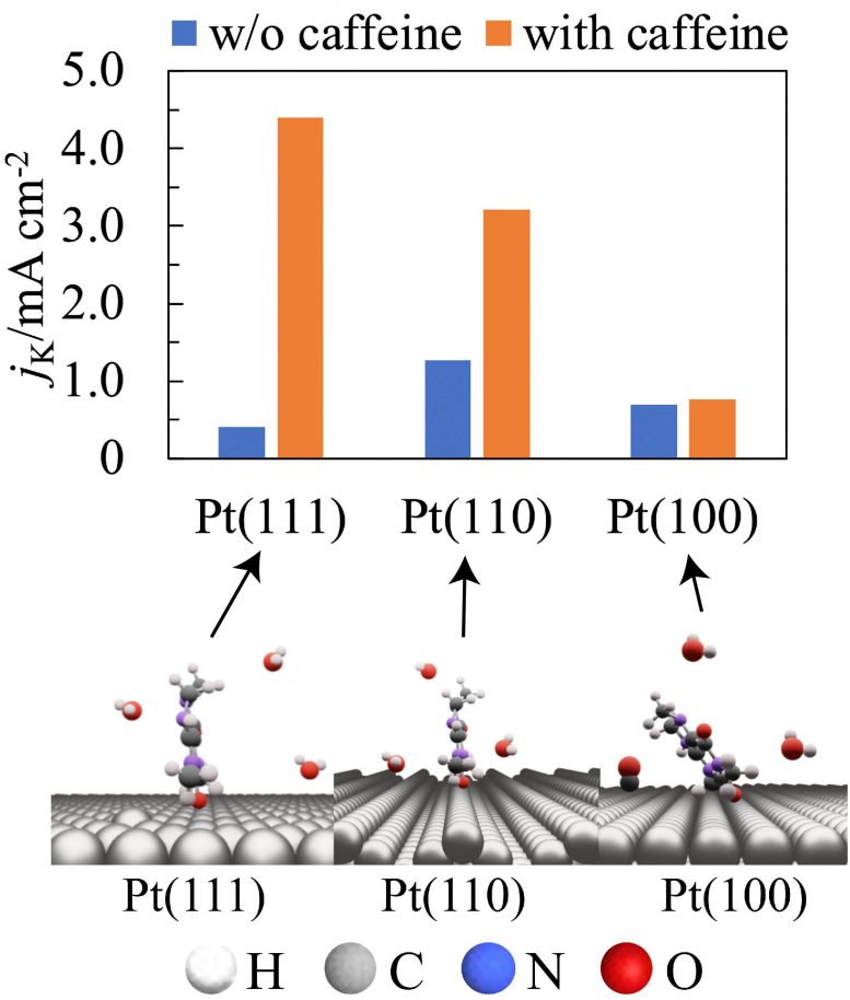 The Effect of Caffeine on the Oxygen Reduction Reaction Activity of Platinum Electrodes