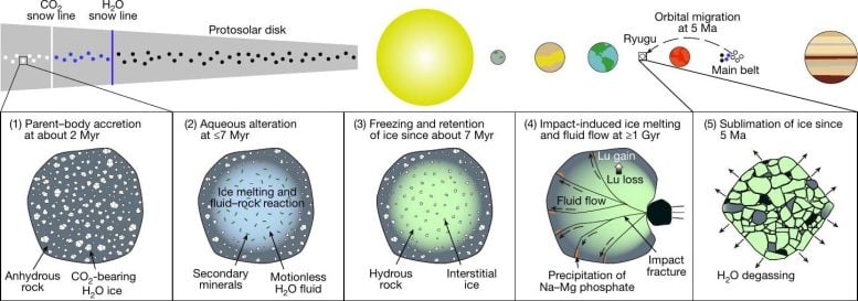 The Evolution of Ryugu Graphic
