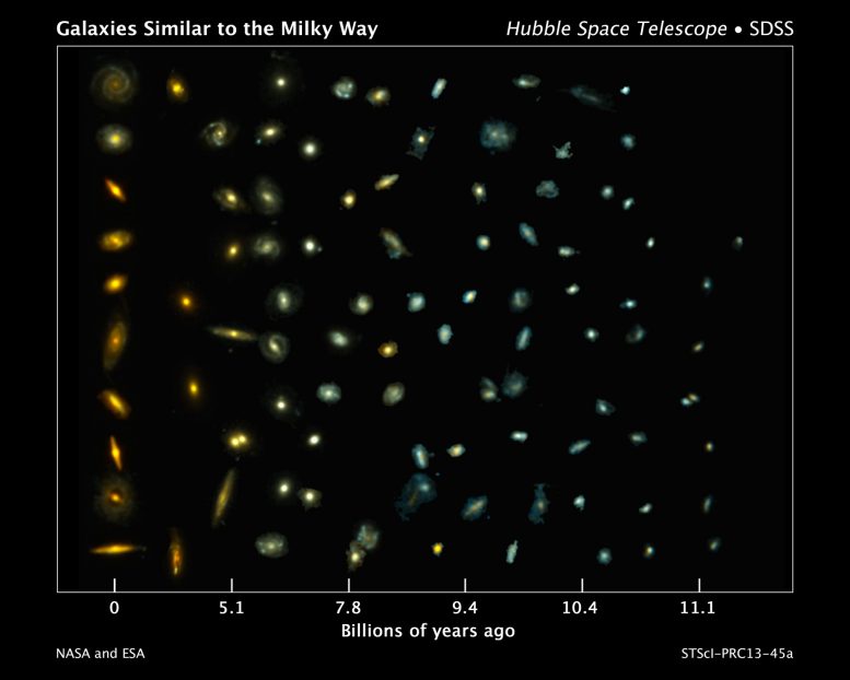 The Growth of Milky Way Like Galaxies