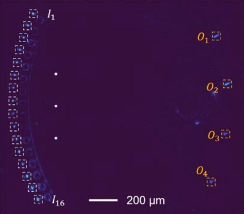 The Light Inside the Chip