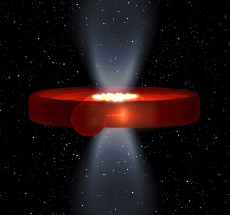 The Mysterious Structure of a Black Hole Edge