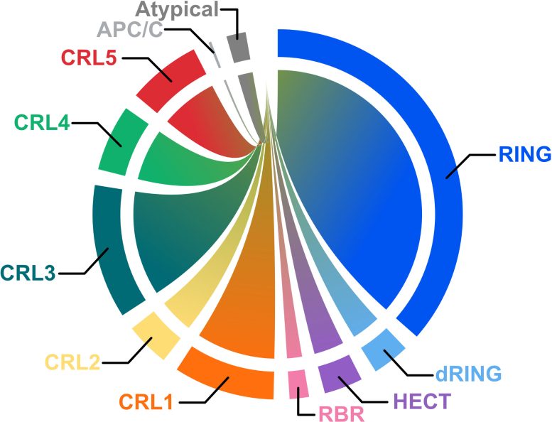 The Organisation and Distribution of the Landmark E3 Ome Atlas.