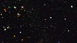 The Role of Dwarf Galaxies in the Star Formation History of the Universe