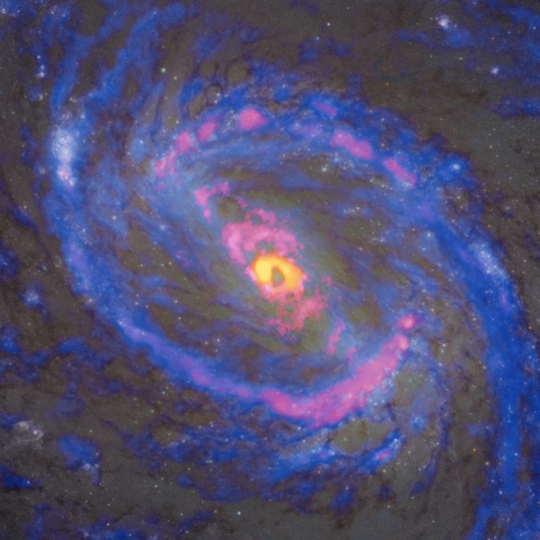 The Spiral Galaxy Messier 77