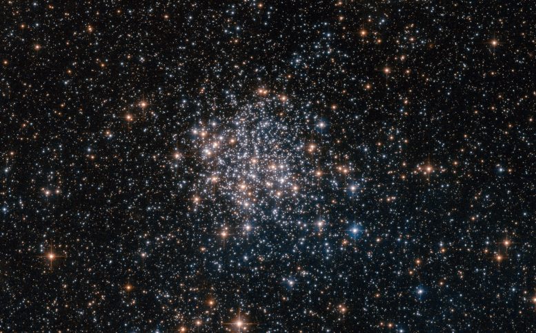 The Stars of the Large Magellanic Cloud
