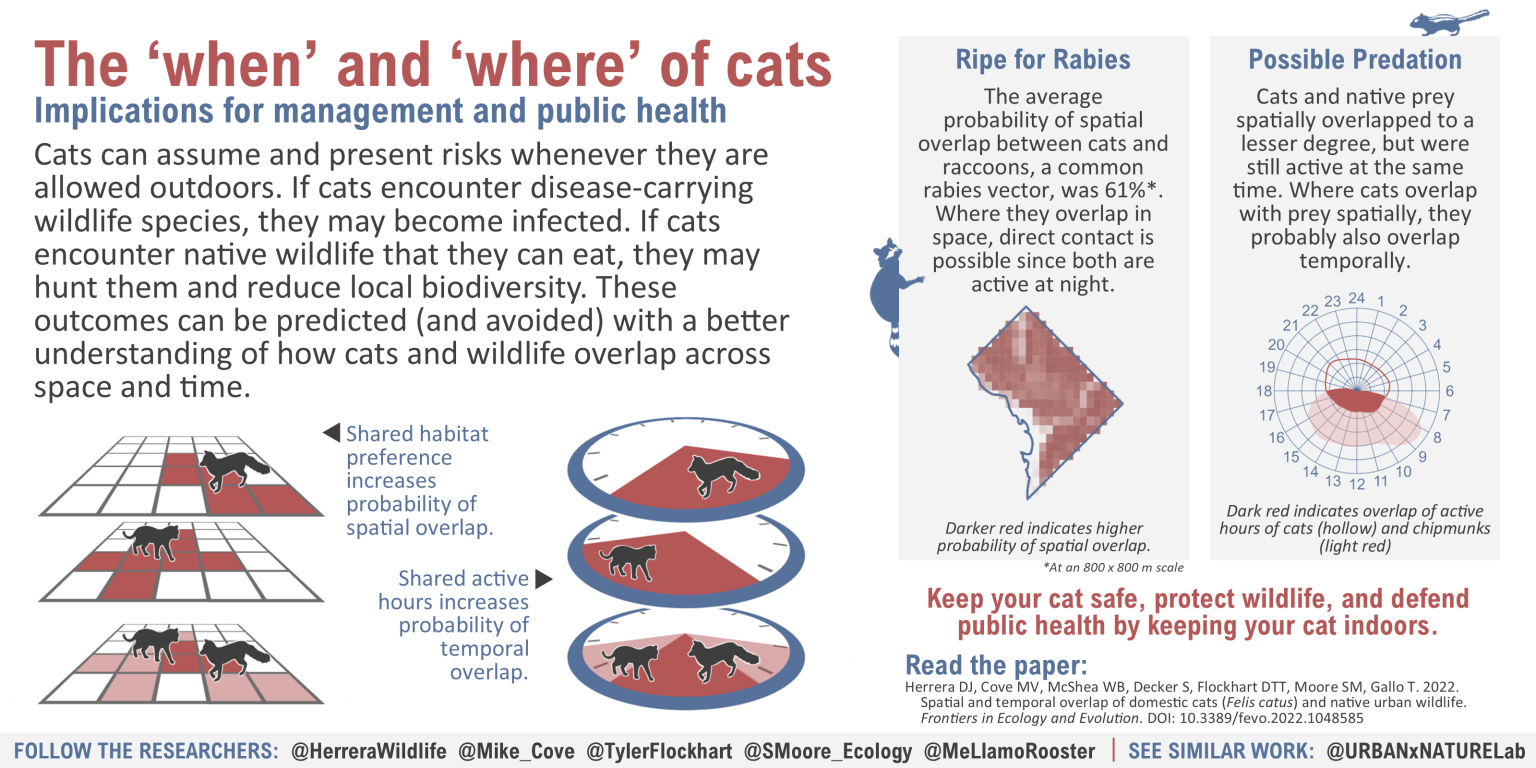 New Research Reveals Why You Shouldn’t Let Your Cat Outside