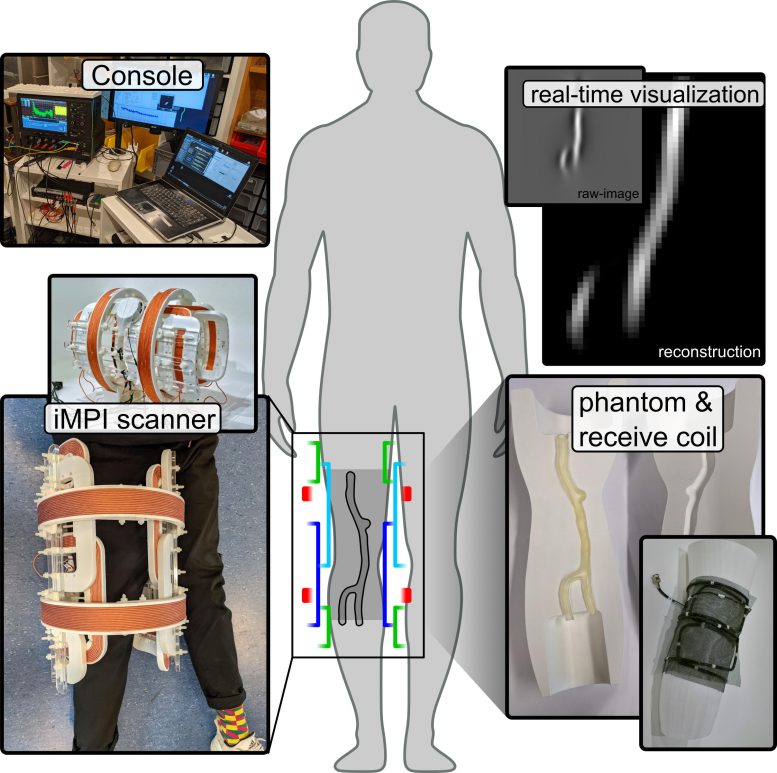 New Imaging Technology Provides a Quick Look Inside a Human Being