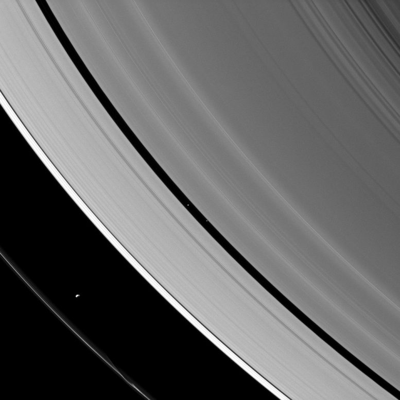 The Ring Region and the Saturnian Moons Prometheus and Pan