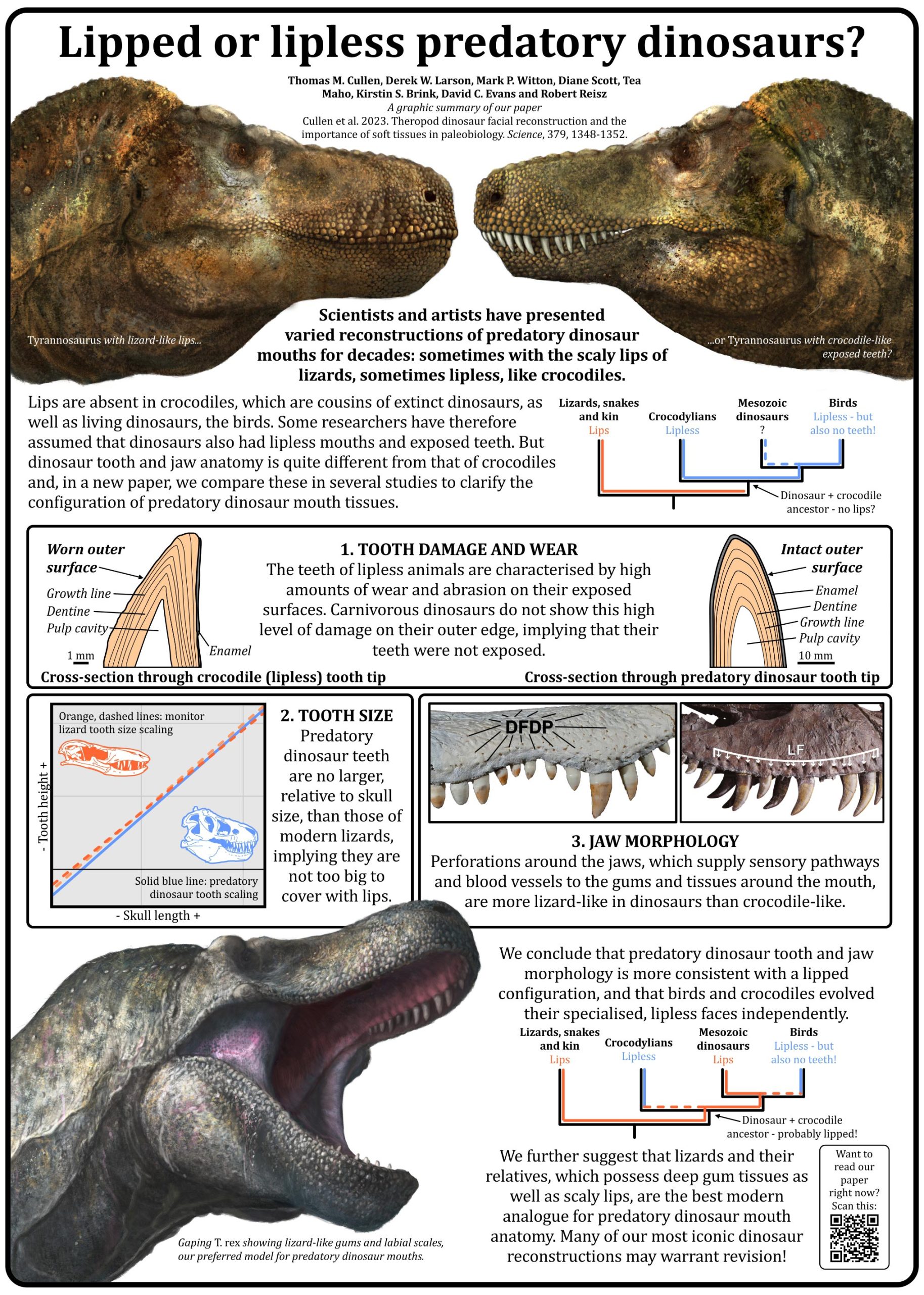 The outer limits think like a dinosaur