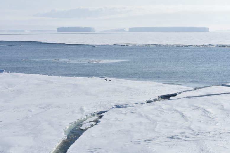 Thinner Antarctic Sea Ice