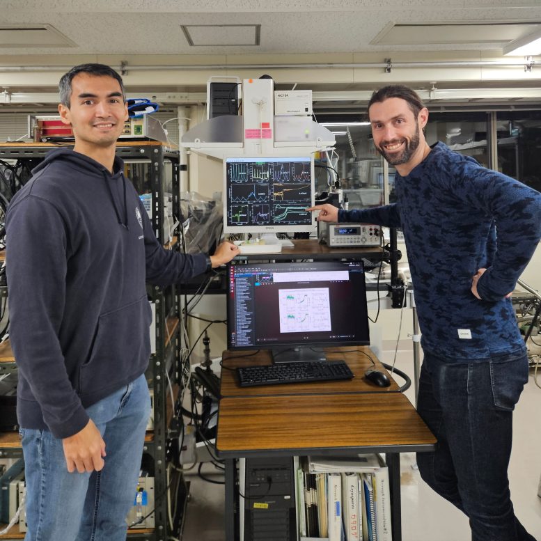 Thomas Johnson and Giordano Mattoni