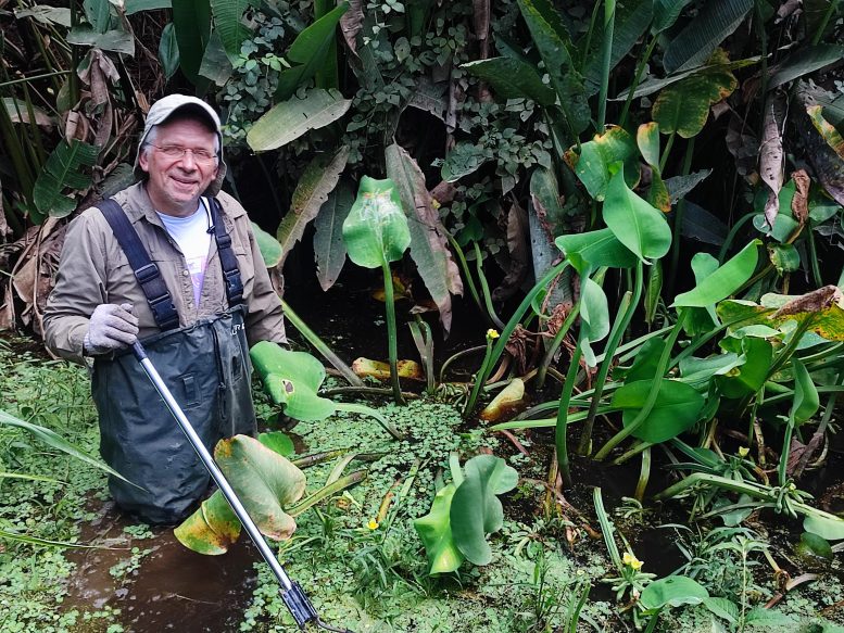 ����� ���� ����