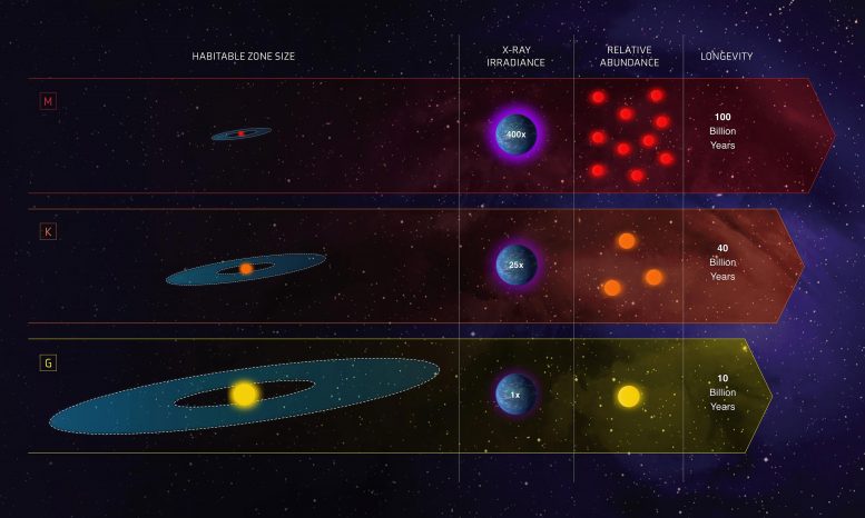 Three Classes of Stars Infographic