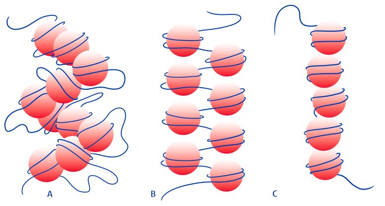 Tre diverse strutture del DNA