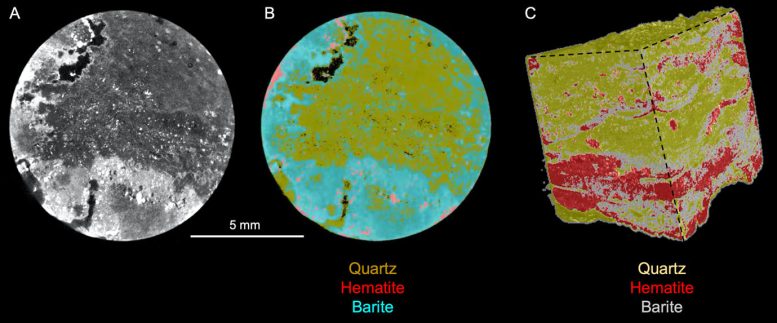 Three Dimensional Rendering of Stromatolite Microstructure