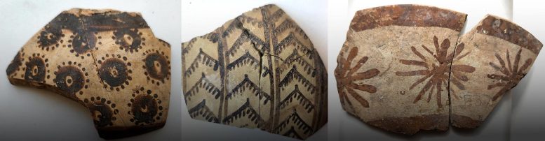 Three Halafian Fragments Showing Plant Designs