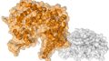 Three Mutations Work Together To Spur New SARS-CoV-2 Variants