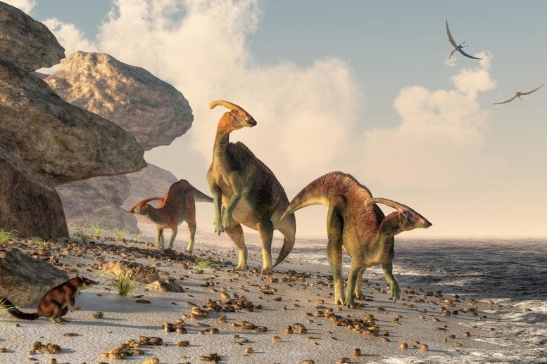 Three Parasaurolophus Rock Beach