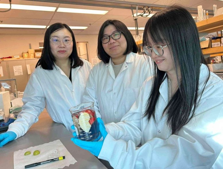 Tianxi Yang With Students Tzu Cheng Chiu and Ling Guo