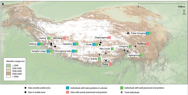 Tibetan Milk Study Sample Locations
