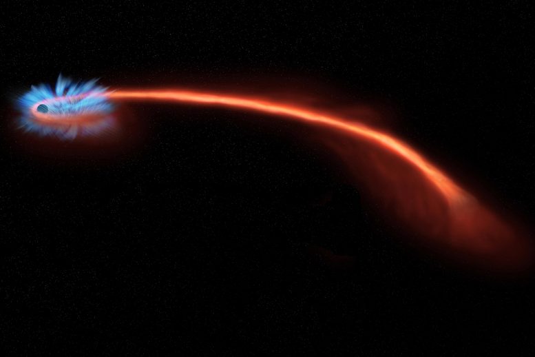 Perturbazione mareale della stella da parte di Massive Black Hole