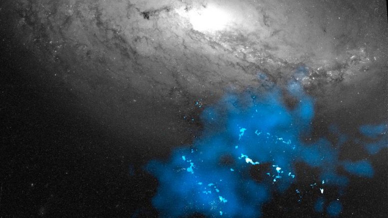 Tidal Dwarf Galaxy and Spiral Galaxy