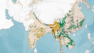 How Satellite Technology Is Rewriting Tiger Conservation