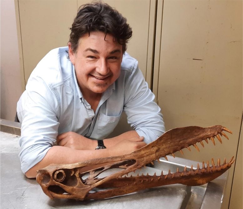 Tim Richards Anhanguerian Crâne de Ptérosaure