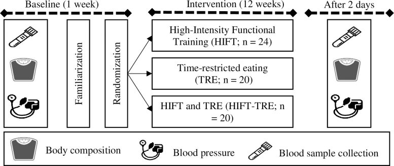 Time-restricted eating and high-intensity exercise graphics