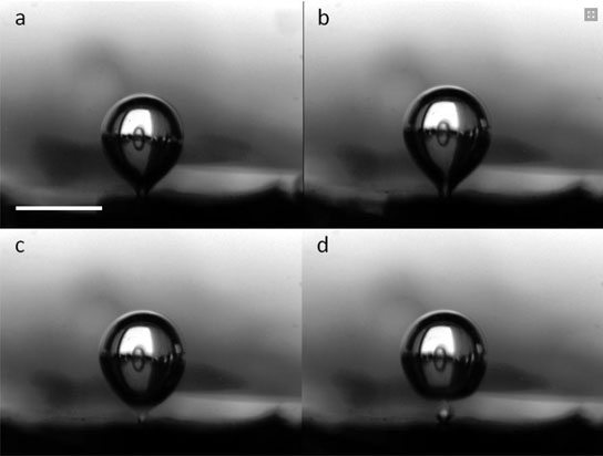 Time-lapse images of vapor bubble departure on the microstructured surfaces