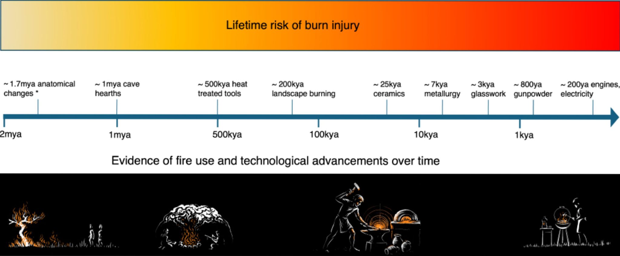 Surviving Burns May Have Changed Human Evolution