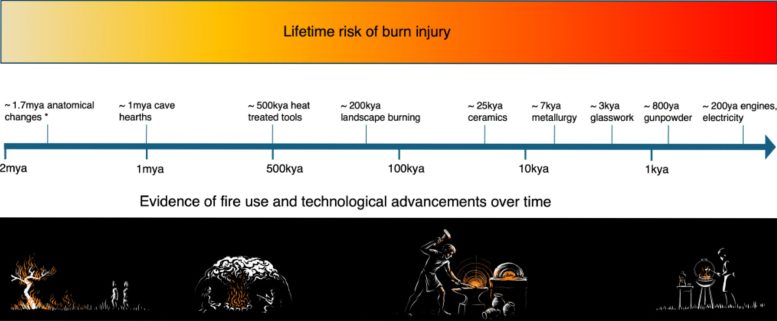 Timeline of Fire Use and Burn Risk