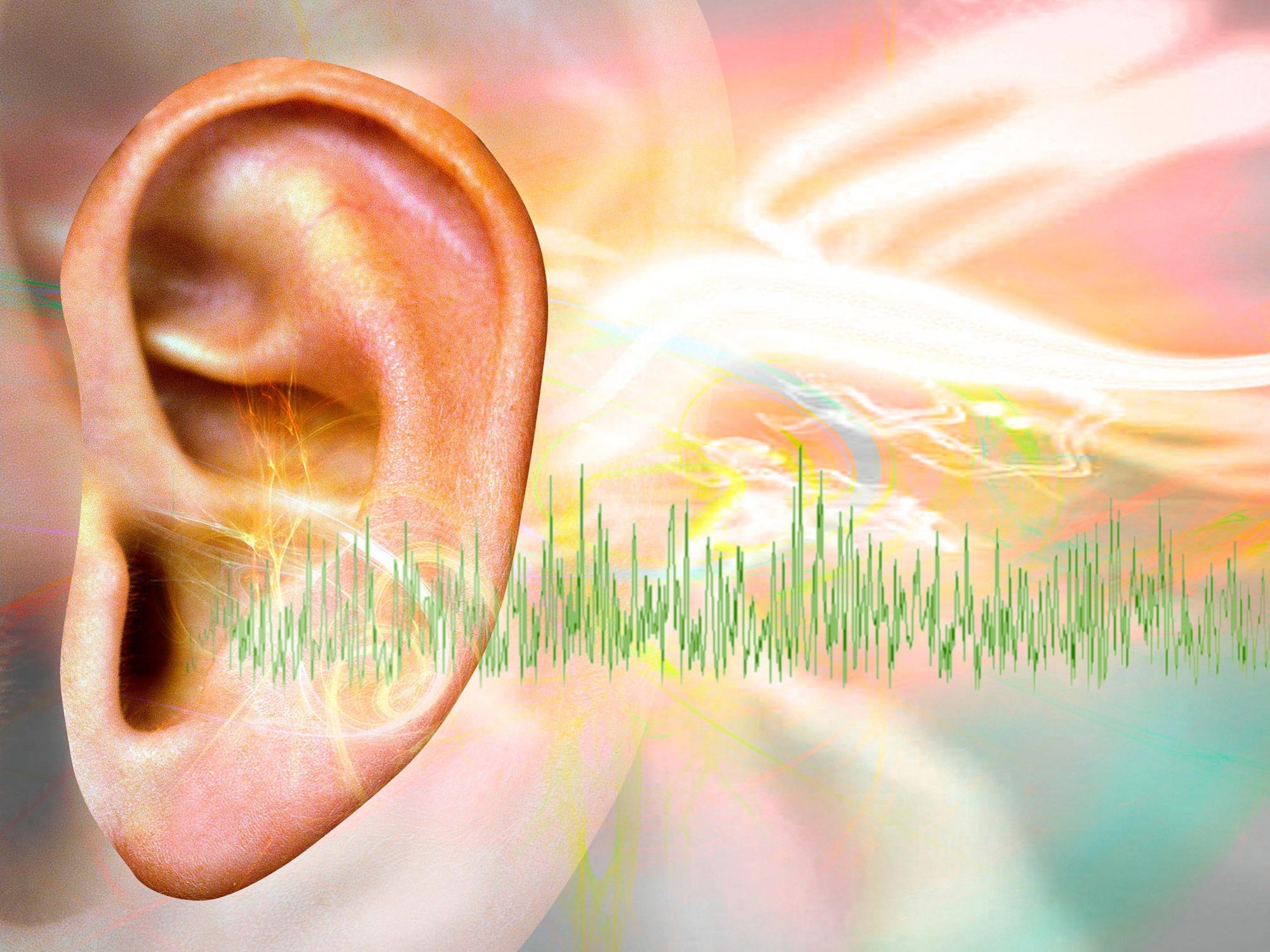 salut indvirkning skadedyr Significant Breakthrough in Search for Tinnitus Cure