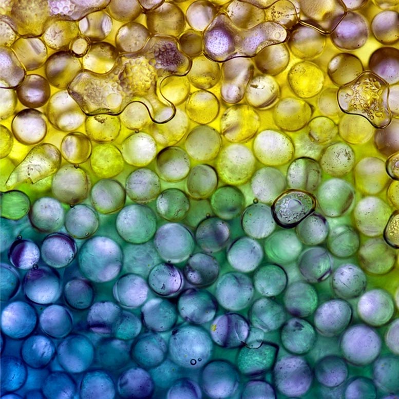 Tiny Glass Beads Carbon Dioxide Simulation