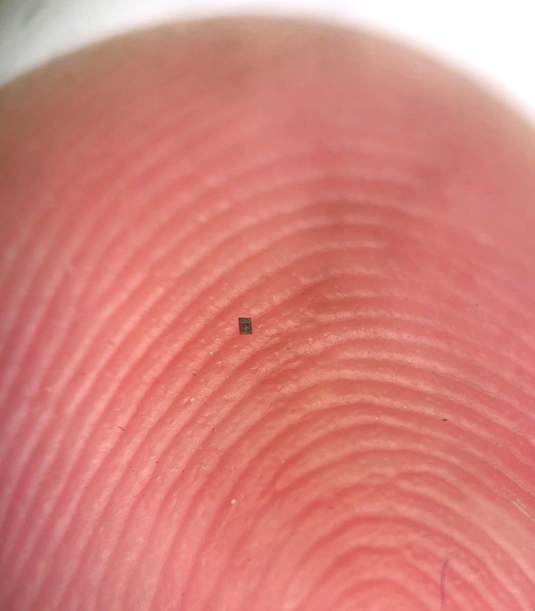 Tiny Robot on Finger