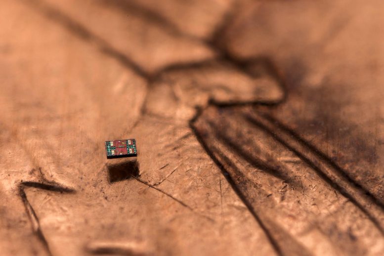 Tiny Robot on Penny