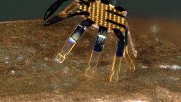 Tiny Robotic Crab