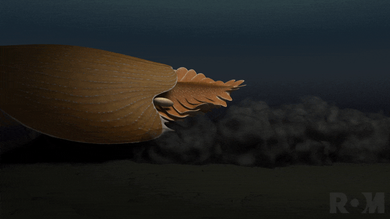 Absolutely Mind-Boggling” Massive New Animal Species Discovered in 500  Million-Year-Old Burgess Shale