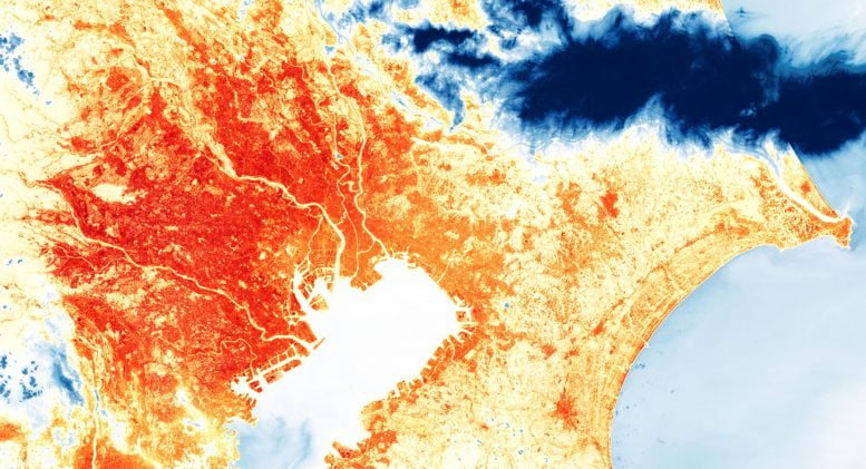 Tokyo Land Surface Temperature August 2019