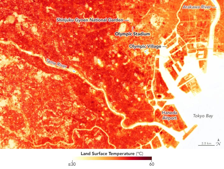 Tokyo Land Surface Temperature August 2019 Detail